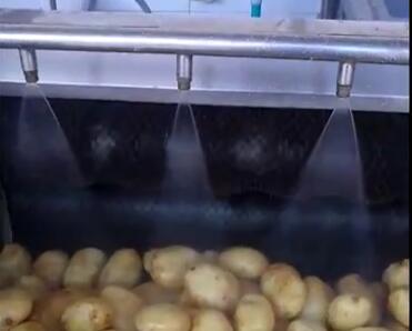 根茎类全自动洗菜机-我司萝卜土豆洗菜机